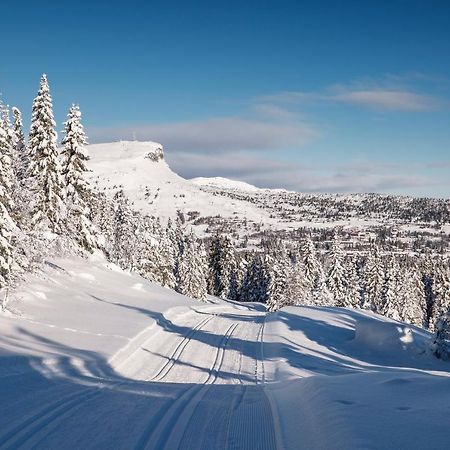 Skeikampen Leilighet, Veslesetervegen 973 F Apartment Svingvoll Bagian luar foto