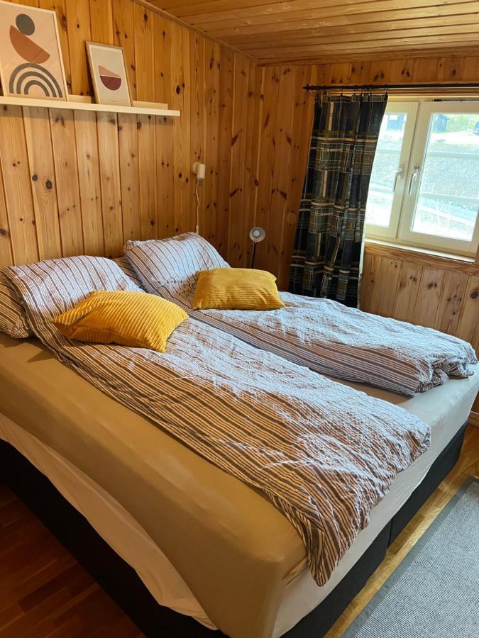 Skeikampen Leilighet, Veslesetervegen 973 F Apartment Svingvoll Bagian luar foto