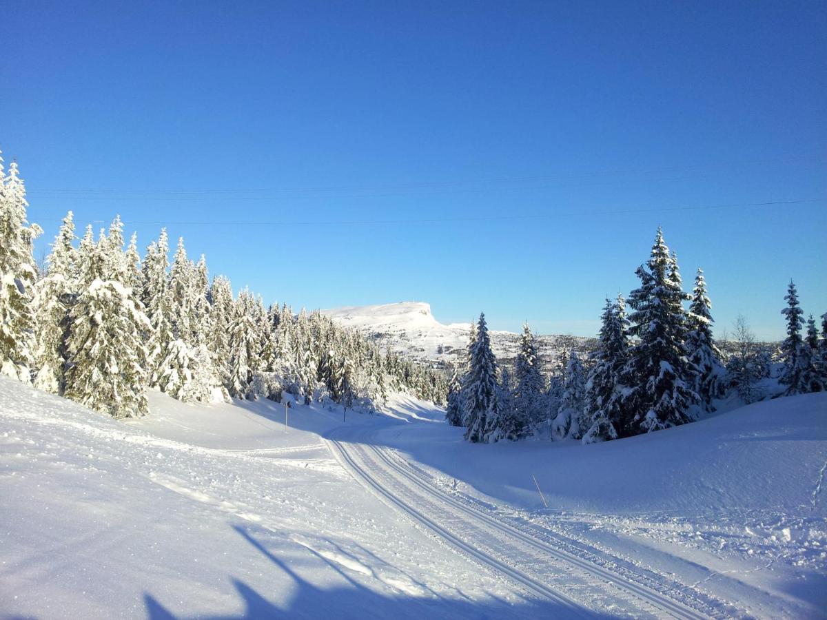 Skeikampen Leilighet, Veslesetervegen 973 F Apartment Svingvoll Bagian luar foto